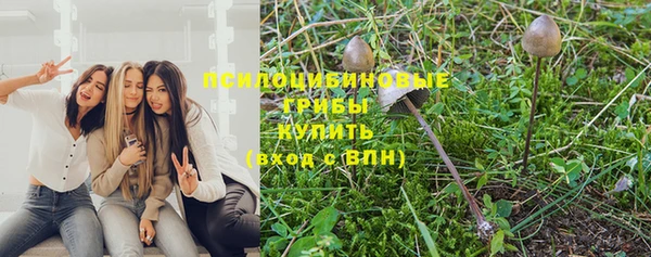 mix Алексин
