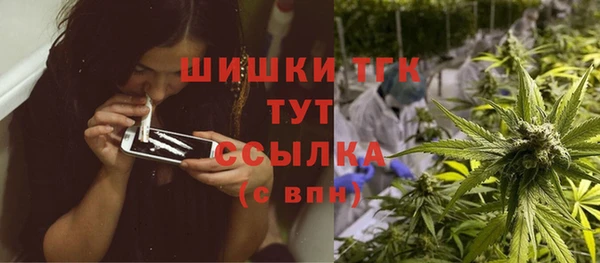 ешки Новодвинск
